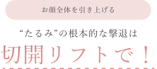 サンプル画像